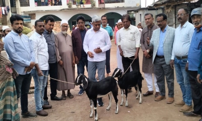 খালেদা জিয়ার ‘জানের সদকায়’ এতিমখানায় ছাগল দান