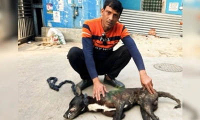 কুকুরকে বিষ খাইয়ে হত্যা, থানায় অভিযোগ