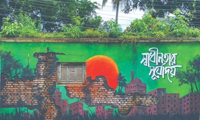 শহরের দেয়ালে দেয়ালে গ্রাফিতি এঁকে প্রতিবাদ শুরু