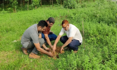 গাজীপুরে ১০ হাজার তালবীজ রোপণ কর্মসূচি