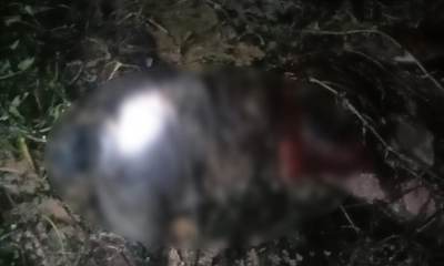 অর্ধগলিত লাশ উদ্ধার।      ছবি- রূপালী বাংলাদেশ