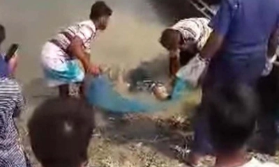 ছবি- সংগৃহীত