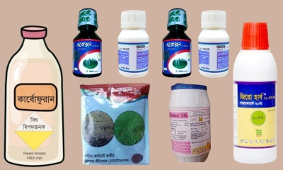 নিষিদ্ধ কীটনাশকে সয়লাব রাজশাহীর বাজার