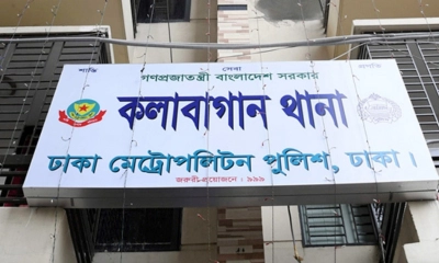 ছোট ভাইয়ের ডাম্বেলের আঘাতে বড় ভাই নিহত