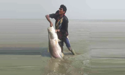 জাল ছাড়াই ধরলেন ২৩ কেজির কোরাল