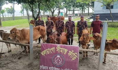 কুড়িগ্রামে ৬৮ লাখ টাকার ভারতীয় মালামাল আটক