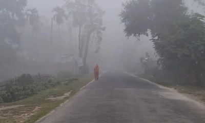 কুয়াশায় ঢেকে আছে তেঁতুলিয়ার গোটা এলাকা। ছবি - সংগৃহীত