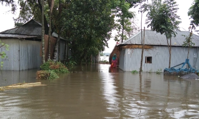 ভয়ংকর রূপে তিস্তা, পানিবন্দি ১৫ হাজার পরিবার