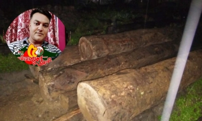 লামায় কাঠ জব্দ করতে গিয়ে বিক্রির অভিযোগ এসআই আলমগীরের বিরুদ্ধে
