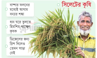 সময়ের সঙ্গে পাল্লা দিচ্ছেন কৃষক