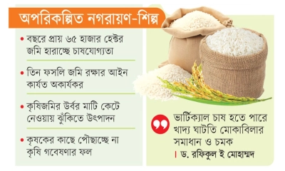 গিলে খাচ্ছে কৃষিজমি, আমদানি হবে ভরসা