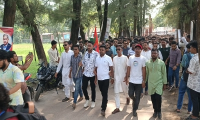 লক্ষ্মীপুরে কলেজ ছাত্রদলের আনন্দ মিছিল