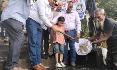 দশমিনায় মাছের পোনা অবমুক্তকরণ