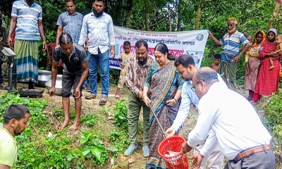 মাগুরায় পোনামাছ অবমুক্তকরণ
