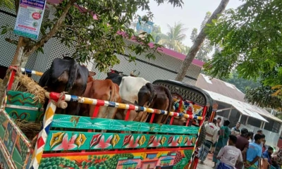 নিয়ন্ত্রণ হারিয়ে নাটা গাড়িকে মোটরসাইকেলের  ধাক্কা, স্কুলছাত্র নিহত