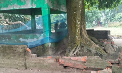 মাজারের সীমানা প্রচীর ভাঙচুর, মলমূত্র নিক্ষেপ