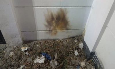 মানিকগঞ্জে জেলা জজের বাসভবনের সামনে ককটেল বিস্ফোরণ