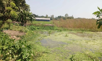 ছবি- রূপালী বাংলাদেশ