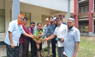 জুলাই শহীদদের স্মরণে বাংলাদেশ কৃষি ব্যাংকের উদ্যোগে বৃক্ষরোপণ কর্মসূচি।  ছবি- রূপালী বাংলাদেশ