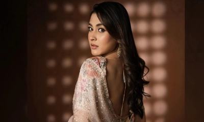 আত্মসমর্পণ করলেন মেহজাবীন