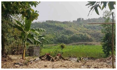 মিয়ানমার থেকে আসা গুলিতে বাংলাদেশি নারী আহত
