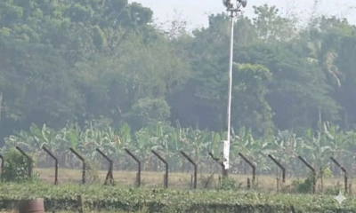 এক দশকে মহেশপুর সীমান্তে হত্যার শিকার ৩৬ বাংলাদেশি