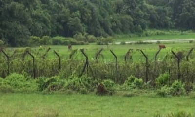 বড়লেখা সীমান্তে ১৮ জনকে আটক করেছে বিজিবি