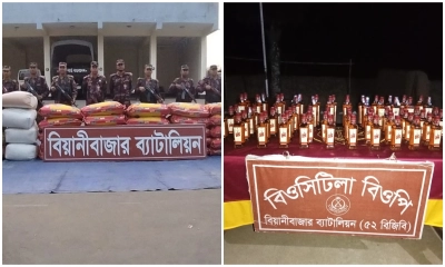 সীমান্তে বিজিবির অভিযানে ভারতীয় পণ্য ও মাদক জব্দ
