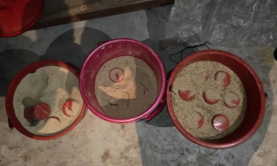 মুন্সিগঞ্জে মুদি দোকান থেকে তিন বালতি ককটেল উদ্ধার