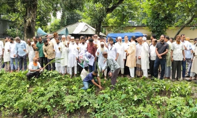 বিএনপির প্রতিষ্ঠাবার্ষিকী উপলক্ষে গৌরীপুরে তালগাছের চারা রোপণ