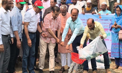 ভোটের দাগ আঙুল থেকে উঠার আগেই প্রতিশ্রুতি বাস্তবায়ন শুরু : তথ্য প্রতিমন্ত্রী