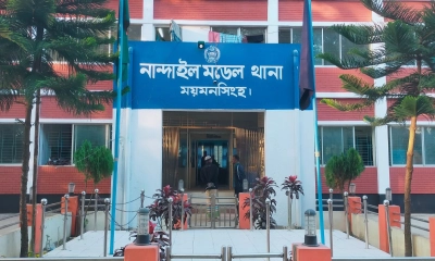 নান্দাইলে ঘাস কাটতে গিয়ে বজ্রপাতে কৃষকের মৃত্যু