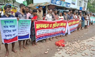 নওগাঁয় সড়কে আলু ফেলে কৃষকদের মানববন্ধন