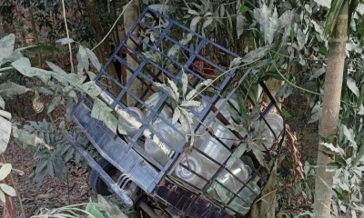 নড়াইলে নসিমন খাদে পড়ে চালকের মৃত্যু