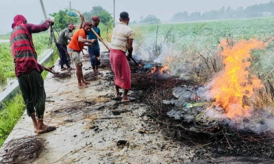 চলনবিলে নিষিদ্ধ ১৫০ চায়না জাল পুড়িয়ে ধ্বংস