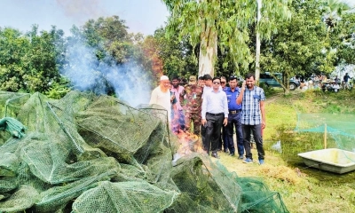 সিংড়ায় ৪ লাখ টাকার নিষিদ্ধ চায়না জাল পুড়িয়ে ধ্বংস