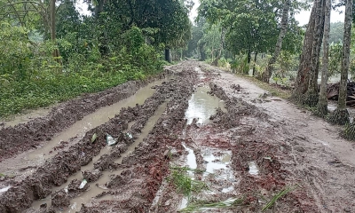 লালপুরে বৃষ্টি মানেই আতঙ্ক। ছবি- রূপালী বাংলাদেশ