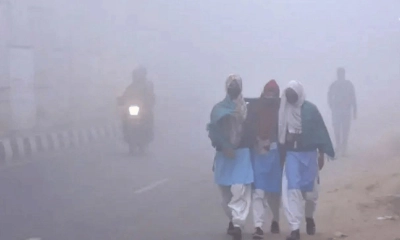 মাঘের আগেই নাটোরে ‘বাঘ কাঁপানো’ শীত