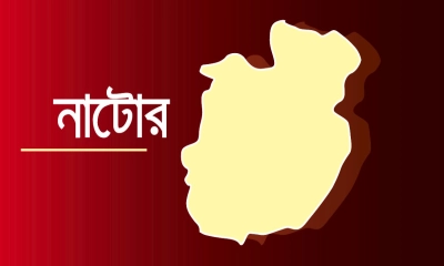 রোগাক্রান্ত গরুর মাংস খেয়ে ১২ জন অসুস্থ