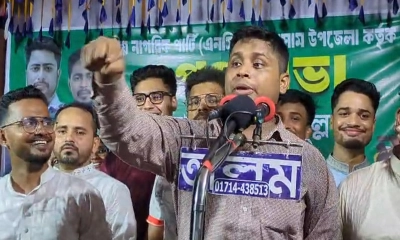 সংসার যদি নাই করবেন, তাহলে কবুল কেন বললেন: হাসনাত