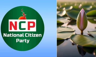 শাপলা কলিতে ‘সম্মতি’ এনসিপির