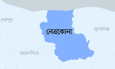 নেত্রকোনায় ইউপি চেয়ারম্যানের খামার থেকে ৬ গরু চুরি
