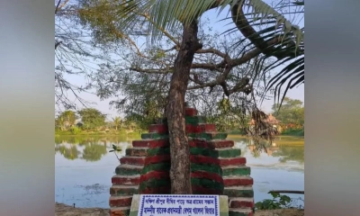 খালেদা জিয়া নেই, স্মৃতি হয়ে রইল নিমগাছ