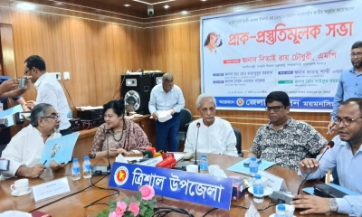 নজরুলের সাহিত্য বিশ্বদরবারে পৌঁছে দিতে কাজ করছে সরকার: নিতাই রায়