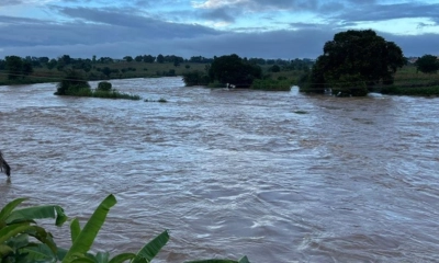 নাইজারে ভয়াবহ বন্যায় ৪৭ জনের মৃত্যু, বাস্তুচ্যুত ৫৬ হাজারের বেশি