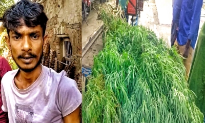 ছবি- রূপালী বাংলাদেশ