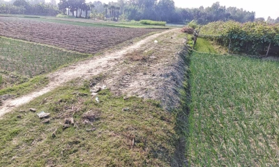 কাবিখা প্রকল্পের ৩০ টন চাল হরিলুট