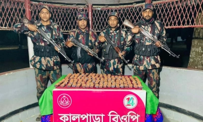 সীমান্তে সাড়ে ১০ হাজার পিস ট্যাপেন্টাডল উদ্ধার