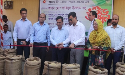 নওগাঁ সদরে বোরো মৌসুমে খাদ্যশস্য সংগ্রহ শুরু