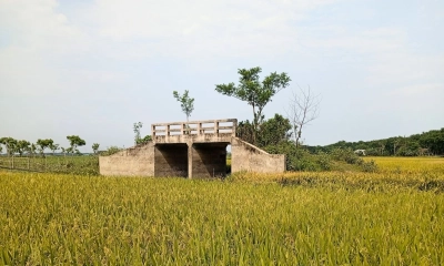 বিলের মাঝখানে কালভার্ট, ১১ বছরেও হয়নি সংযোগ সড়ক